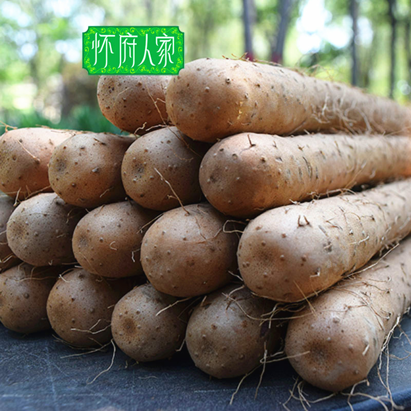 怀府人家温县铁棍淮山药精选500g 河南特产正宗焦作铁杆怀山约棒在类目 传统滋补营养品, 山药中 - 来自Buy2taobao.com提供专业的淘宝代购服务