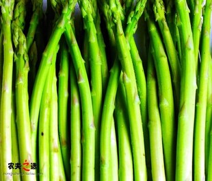  【农夫之选】 绿色食品新鲜蔬菜 芦笋 100%无白根 500G 全国配送
