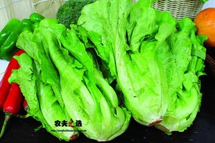  【农夫之选】 绿色食品新鲜蔬菜 生菜 500G 全国配送