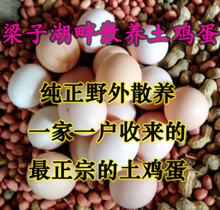 H7N9禽流感,鸡蛋能吃吗?–淘宝食品购物问答