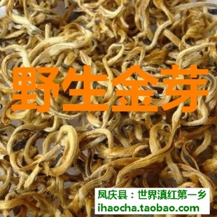  原产地！凤庆滇红茶 野生金芽古树茶金丝芽金毫茶 金骏眉 桐木关
