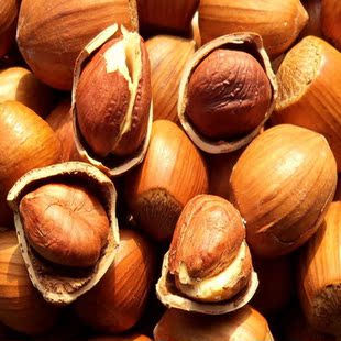  【特价一天】坚果零食榛子新货铁岭不开口东北美国大尖榛子 400g/