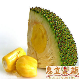  菠萝蜜 新鲜 水果 孟加拉“国果” 货号AAA0MJLMMBLM  惠宜果蔬