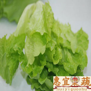  新鲜生菜 宝宝骨骼牙齿发育主要物质 货号AAAS00LNCYSC 惠宜果蔬