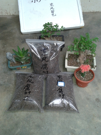 纯天然营养土 山泥腐叶土 种花土多肉兰花土 柏