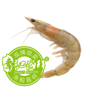  章记海鲜金牌推荐 舟山渔船新鲜捕捞野生滑皮虾/海虾/对虾 500G