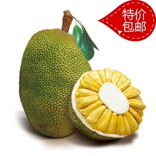  海南三亚新鲜水果菠萝蜜马来6号果肉金黄香气飘溢香甜可口看介绍
