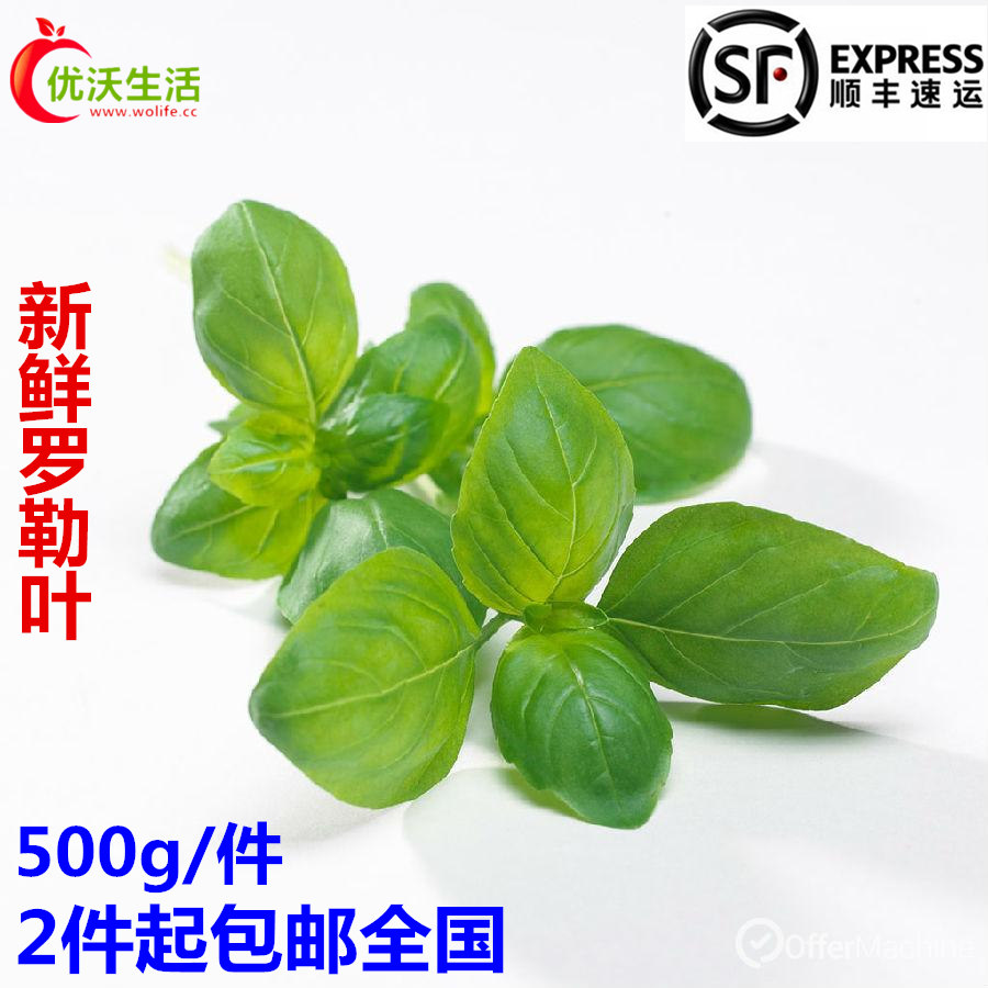 新鲜蔬菜罗勒叶 甜罗勒叶 欧罗 香料调料500g 2件起顺丰包邮在类目 水产肉类/新鲜蔬果/熟食, 新鲜蔬菜/蔬菜制品, 新鲜蔬菜, 其它中 - 来自Buy2taobao.com提供专业的淘宝代购服务