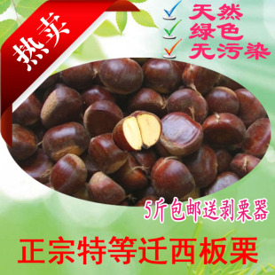  正宗迁西板栗子新鲜板栗生板栗带壳紫玉甘栗精选特级大粒5斤包邮