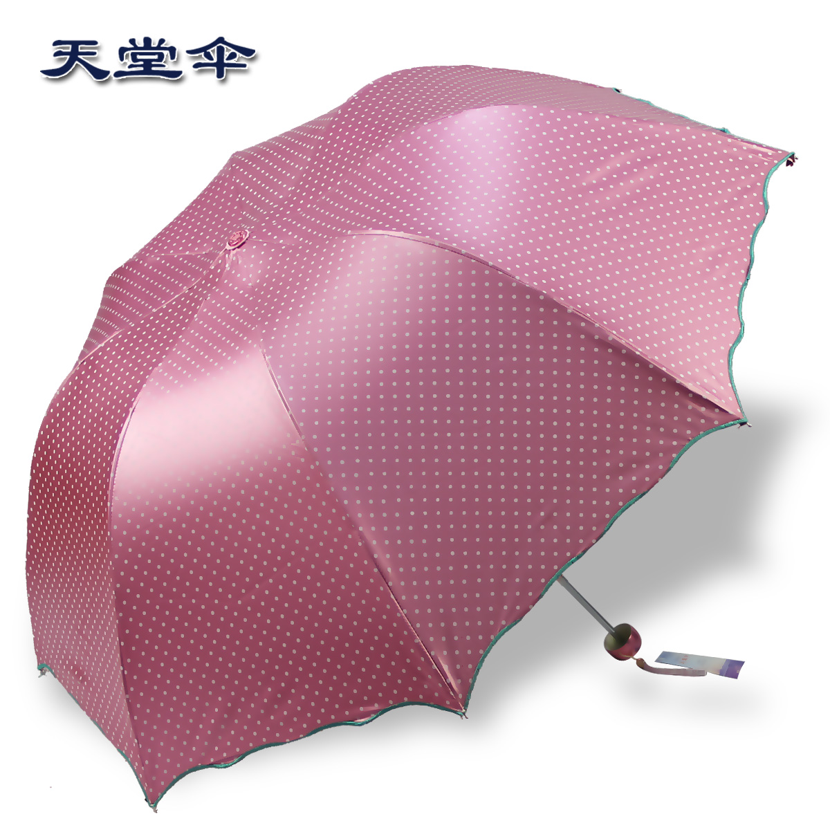 阳伞价格