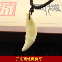 [Opening] Spike genuine Tibetan mastiff teeth shape pendant necklace / non-bone dog tooth genuine evil men and women