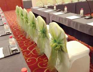 上海婚庆布置 草坪婚礼 绿色椅背纱装饰 椅背蝴