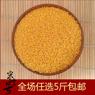  东北黄小米粥新小米农家杂粮有机月子米内蒙黄金苗胜过山西沁州黄