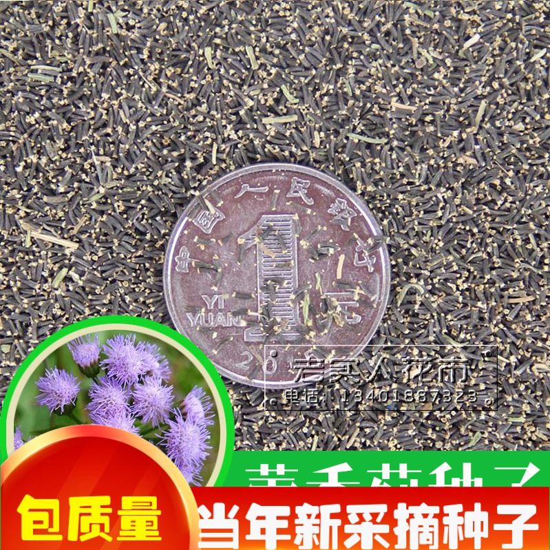 包邮!藿香正气草种子/广霍香种子/中药材种子藿香蓟种子包邮在类目 办公设备/耗材/相关服务, 包装设备/标牌及耗材, 包裹袋/编织袋中 - 来自Buy2taobao.com提供专业的淘宝代购服务