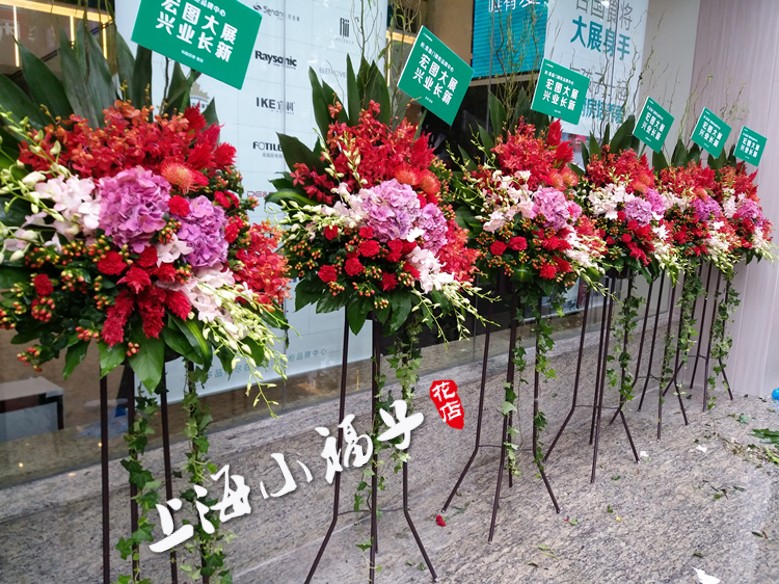 上海开业开张乔迁花篮年会演唱会商务庆典鲜花上海花篮同城速递在类目 鲜花速递/花卉仿真/绿植园艺, 商务用花中 - 来自Buy2taobao.com提供专业的淘宝代购服务