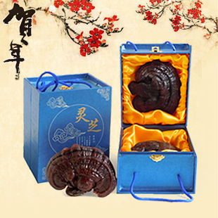  宝丰源 长白山高档精美灵芝礼盒 滋补送礼佳品