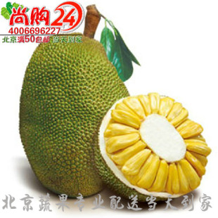  尚购24鲜果 泰国菠萝蜜9.8元/斤 请拍20斤多退少补新鲜水果限北京