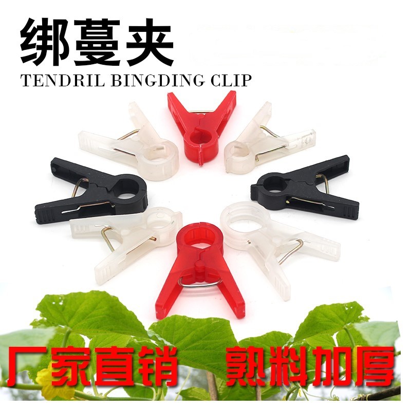 Vegetable garden Vegetables Altercation cucumber Clamp thickening Pepper means of agricultural production Relaxed Shelfin the Flower delivery/Flowers simulation/Plants gardening , Gardening supplies , Other Garden Supplies  category - from Buy2taobao.com to provide professional Taobao agent buy service