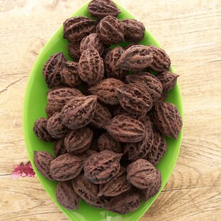  东北山核桃 生山核桃 文玩 东北野生山核桃 东北特产