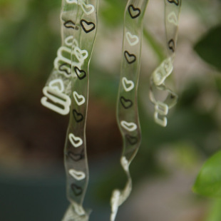 <em>隐身</em>印花金属扣硅胶塑料透明女士内衣配件<em>文胸</em>