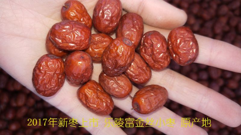 2018 Shandong specialty Leling Se Jinsixiaozao Jujube snacks Porridge Soup Place of Origin Deliver goodsin the Aquatic meat/Fresh fruits and vegetables/Cooked , Fresh fruit , Jujube category - from Buy2taobao.com to provide professional Taobao agent buy service