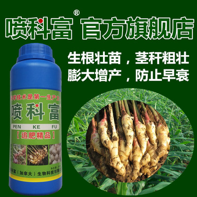 喷科富生姜专用叶面肥膨大素大姜膨大素抗病增产进口营养液包邮