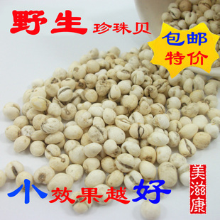  中药材/野生同仁堂川贝特级川贝母超小珍珠贝免磨川贝粉2件起包邮