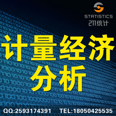 211统计工作室 计量经济分析 数据统计分析 经