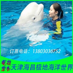 天津塘沽极地海洋馆海洋世界门票 恐龙岛亲子