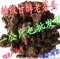 上下架计划:2000年勐海干仓古树老茶头，好喝又实惠 特价出售