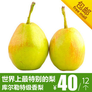  【新疆馆】特级库尔勒香梨 包邮 新疆水果 坏果包赔 12个约1800g