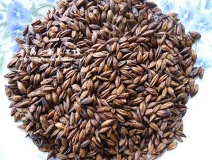  优质大麦茶 烘焙型 2斤包邮 送量勺