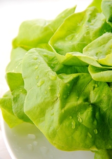  蔬菜沙拉Salad沙拉酱生菜新鲜色拉 西式美国波斯顿奶油生菜