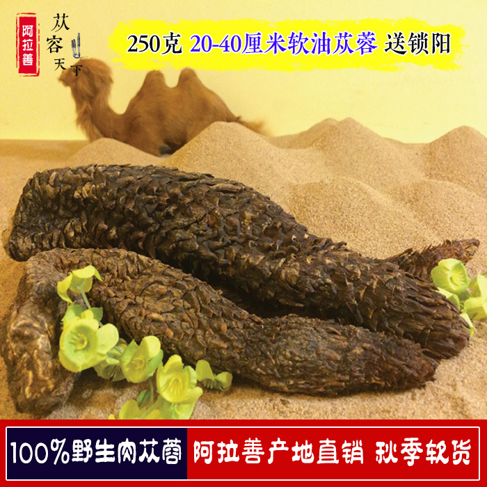 油苁蓉 内蒙古阿拉善野生油性肉苁蓉20-40cm250克装 购买赠送锁阳在类目 传统滋补营养品, 药食同源食品, 其他药食同源食品中 - 来自Buy2taobao.com提供专业的淘宝代购服务