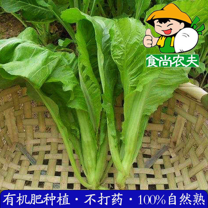 食尚农夫农家芥菜有机绿色新鲜蔬菜配送250克 广东福建满88元包邮|ruв категории водной мясо/свежие фрукты и овощи/еда, свежие овощи/овощной продукции, свежие овощи, другие - от Buy2taobao.com для оказания профессиональной услуги покупки агента Taobao