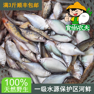 食尚农夫野生小杂鱼河鱼 绿色有机鲜鱼配送 广东满3斤顺丰包邮