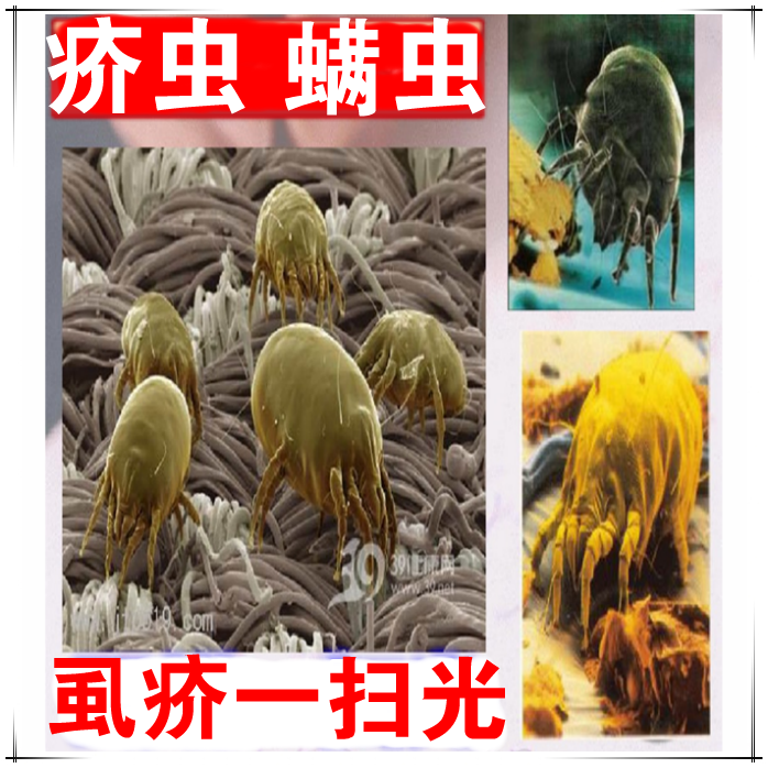 2瓶 阴虱疥螨虫喷剂百部酊虱疥芥疮立一扫光疥虫杀虫喷剂疥虱净康在类目 洗护清洁剂/卫生巾/纸/香薰, 洗发沐浴/个人清洁, 身体护理, 其它身体护理产品中 - 来自Buy2taobao.com提供专业的淘宝代购服务