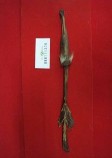  林源珍宝 正品梅花鹿茸片半蜡片鹿鞭片礼盒 送礼首选