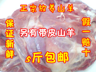  特价促销农村放养散养新鲜羊肉纯羊肉生羊肉剔骨羊肉羊腿肉山羊肉