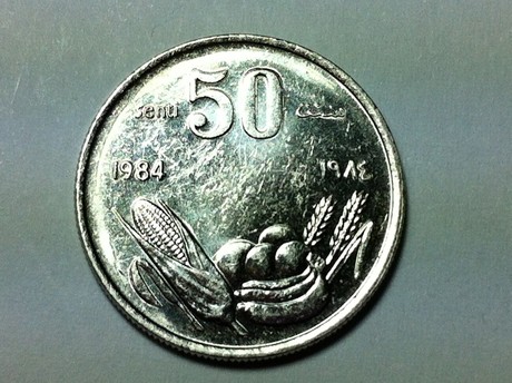 珍稀币 索马里1984年50分FAO 少见钱币硬币 