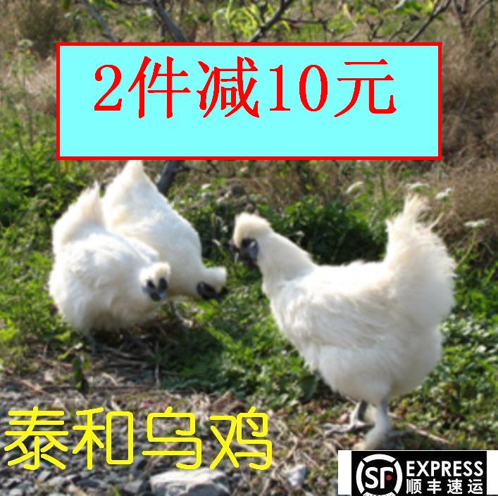 现杀农家散养白毛乌骨鸡月子鸡江浙沪皖顺丰包邮2件减10元在类目 水产肉类/新鲜蔬果/熟食, 生肉/肉制品, 鸡肉类, 生鸡肉中 - 来自Buy2taobao.com提供专业的淘宝代购服务