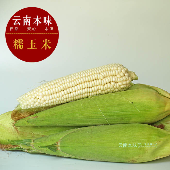 玉溪老品种糯玉米糯包谷5斤/份包邮非西双版纳花糯玉米非水果玉米在类目 水产肉类/新鲜蔬果/熟食, 新鲜蔬菜/蔬菜制品, 新鲜蔬菜, 其它中 - 来自Buy2taobao.com提供专业的淘宝代购服务