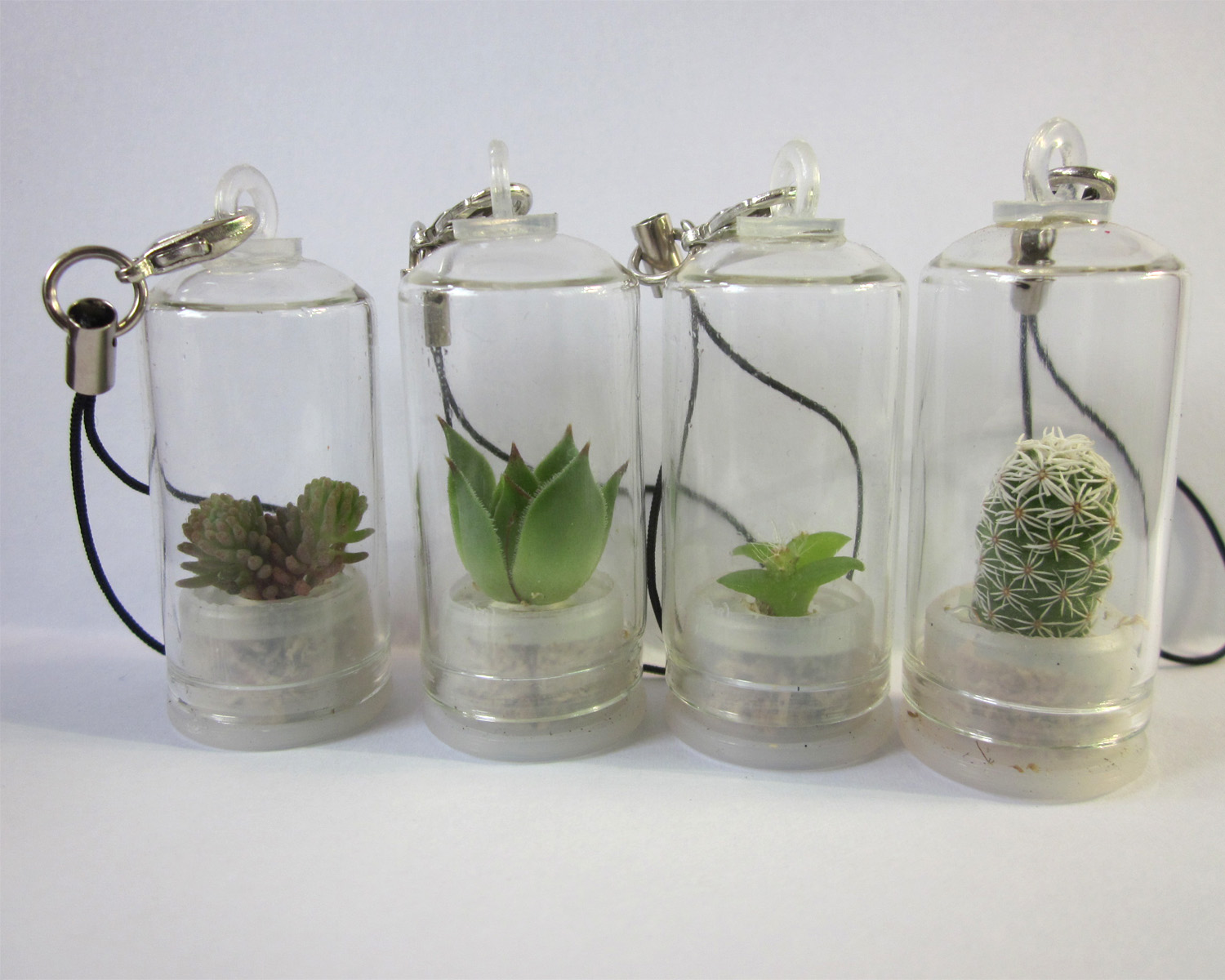 Take it with you Farm Angel Hanabusa Botany Pendant Scenery Radiation protection Botany Pendantin the Flower delivery/Flowers simulation/Plants gardening , Creative mini-plant category - from Buy2taobao.com to provide professional Taobao agent buy service