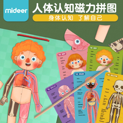 mideer 彌鹿 現貨 新款拼圖兒童益智玩具磁力紙質人體認知拼圖在類目 玩具/童車/益智/積木/模型, 串珠/拼圖/配對/拆裝/敲打玩具, 拼圖/拼板中 - 來自Buy2taobao.com提供專業的淘寶代購服務