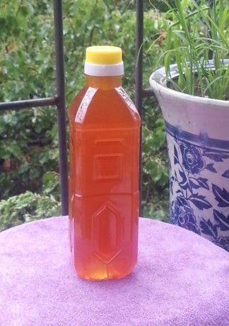 【忆起自己】大蒜酵素 自制蜂蜜酵素原液 综合