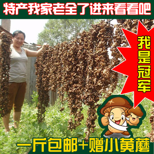  新货 东北野生榛蘑菇 春季滋补吃小鸡炖蘑菇 野山菌 干货特价包邮