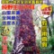 上下架计划:淘金币2014东北黑龙江大兴安岭特级纯野生黑木耳 秋木耳 250g包邮