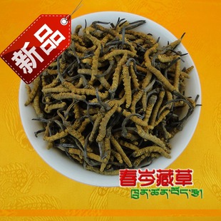  春岑藏草☆西藏那曲虫草5-6条/克 正品冬虫夏草6.8折特价批发促销