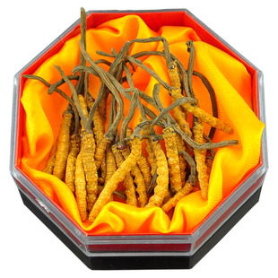  冬虫夏草 四川福临门虫草 虫草王 90元/g 2根一克