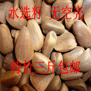  年新松子 精品生松子 水漂生松子无空壳 营养美味 三斤包申通